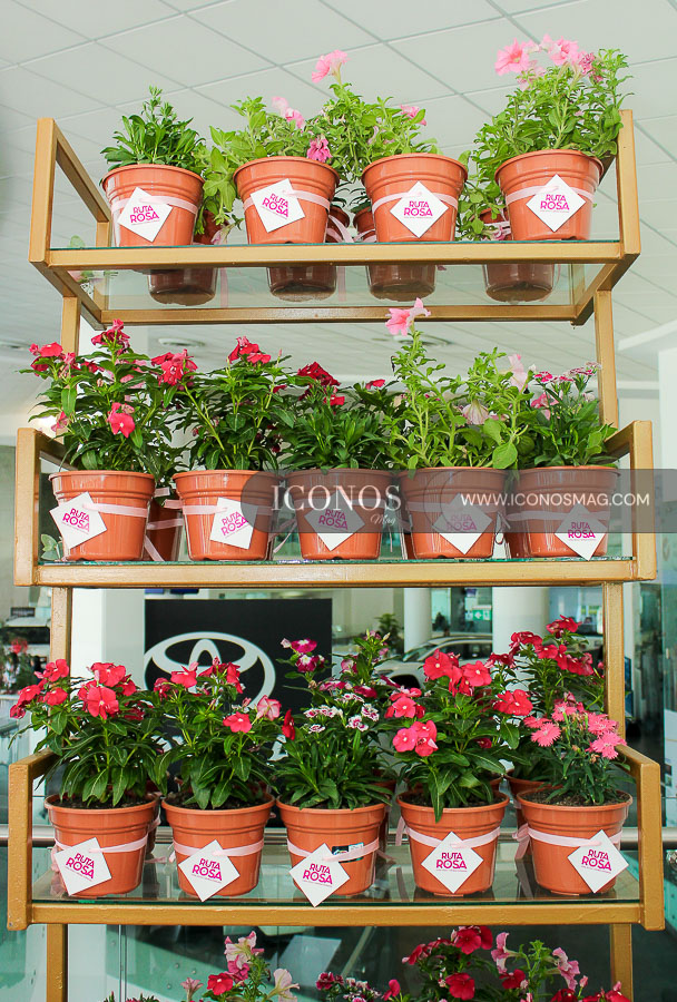 ruta rosa by grupo flores san pedro sula