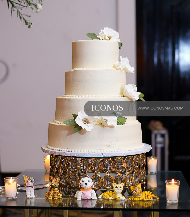 Boda Ana Gissel Duron y Sergio Eduardo Castillo y chejo