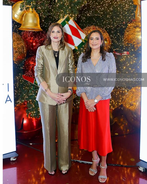 PORTADA encendido arbol navidad