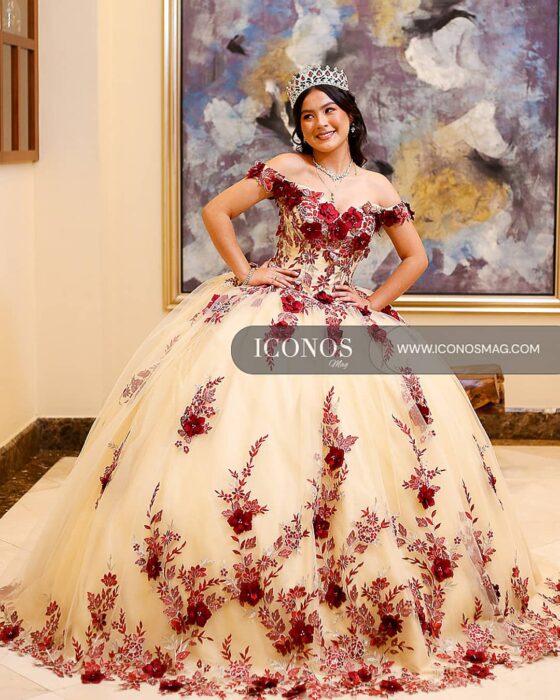 PORTADA quince anos luna alvarado