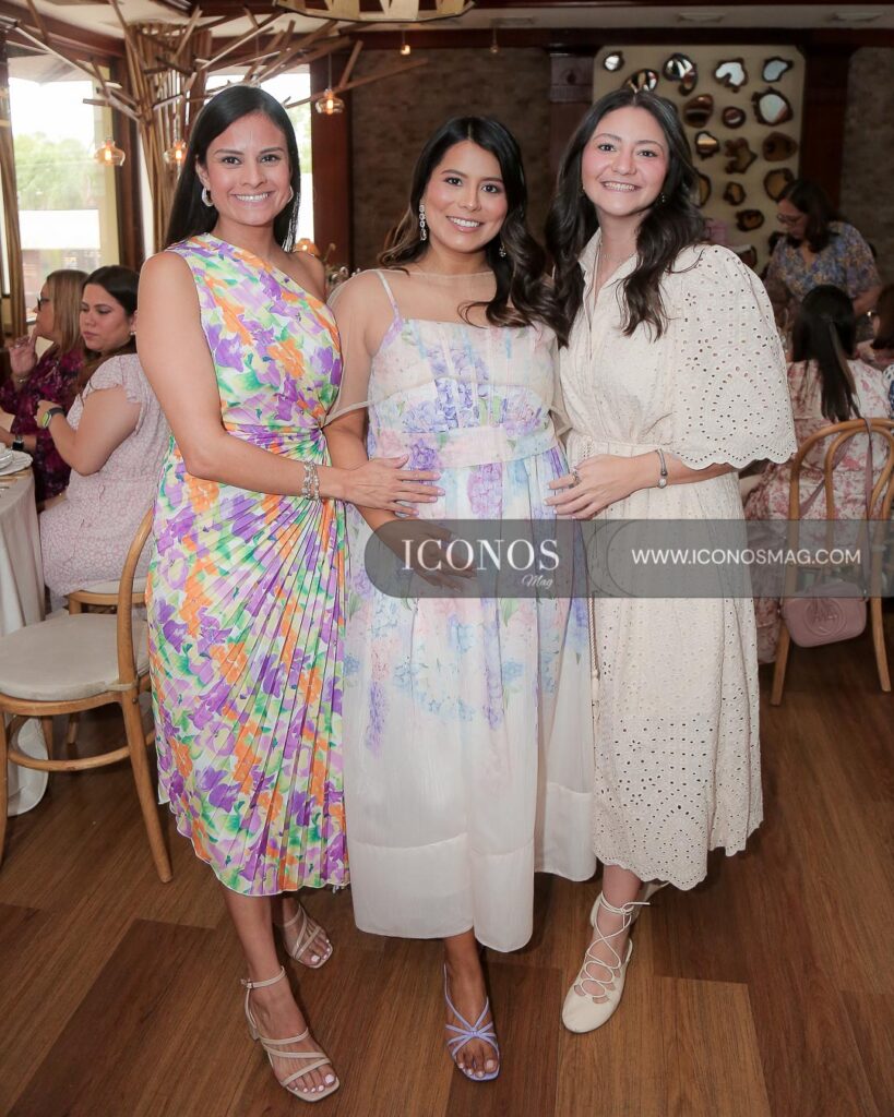 baby shower carolina david ponce de reyes