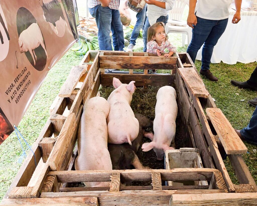 expocerdo by cargill honduras