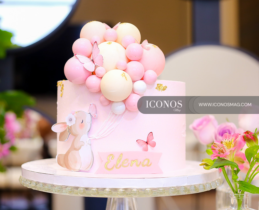 Baby Shower Elena Alejandra