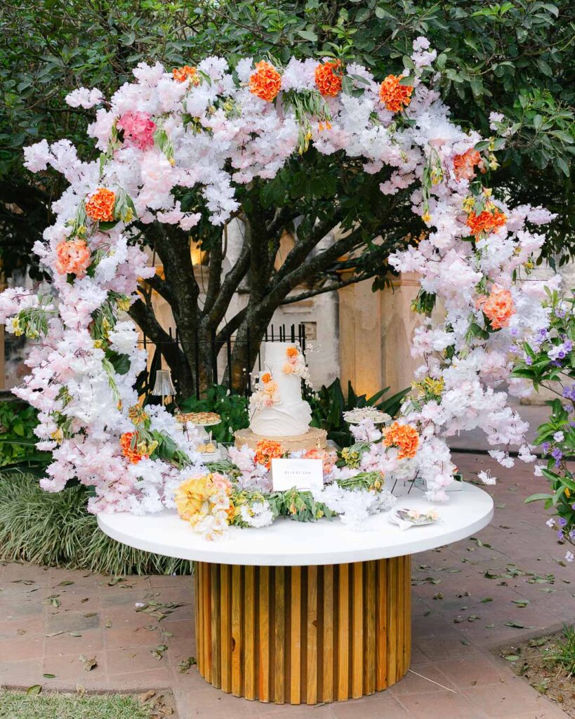 Silvia Damian Preview