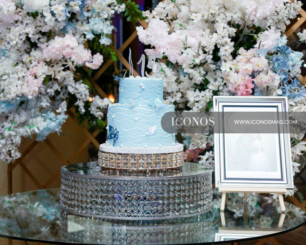 quince anos emilie denisse amador rivera