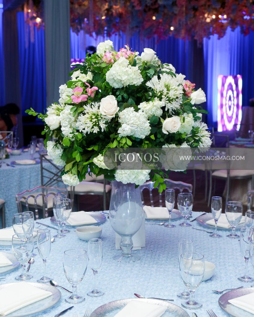 quince anos emilie denisse amador rivera