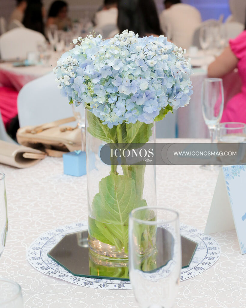 quince anos shaiel sofia solis espinoza