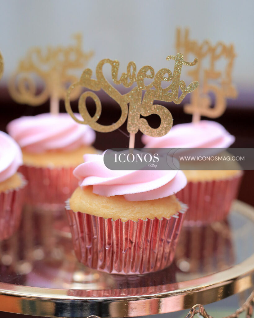 fiesta de quinceanos hanna carolina paguada baez