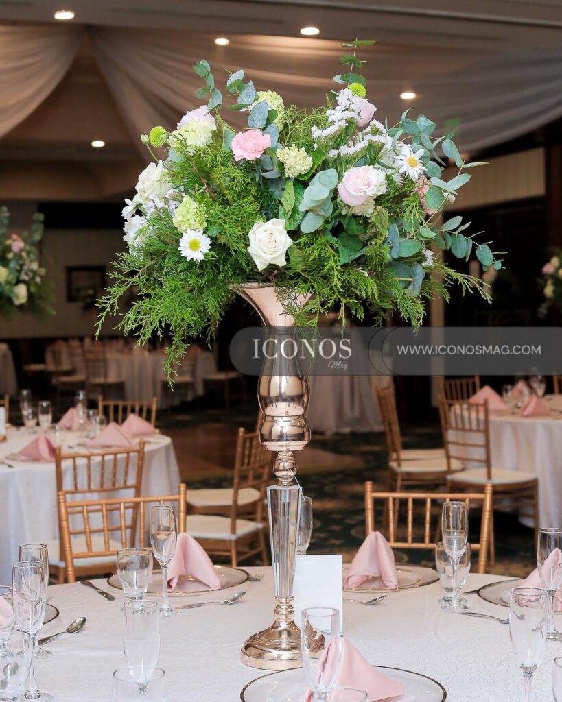 fiesta de quinceanos hanna carolina paguada baez