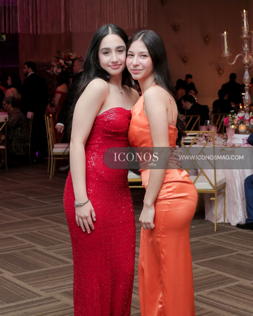 celebracion quince anos sophia valentina hernandez pereira