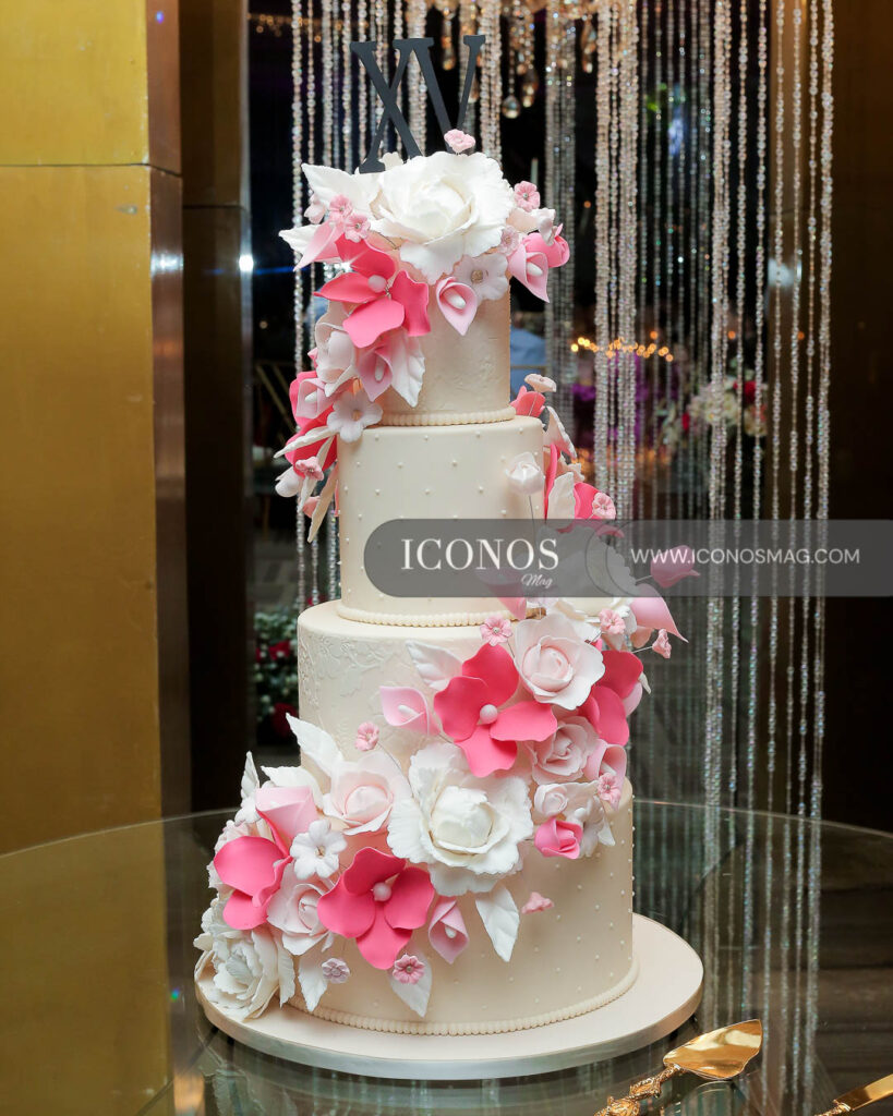 celebracion quince anos sophia valentina hernandez pereira