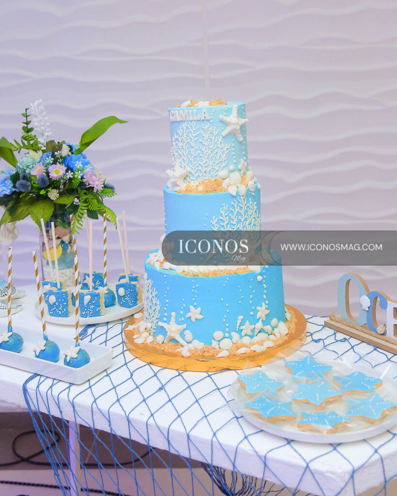 fiesta quince anos de camila abigail reyes