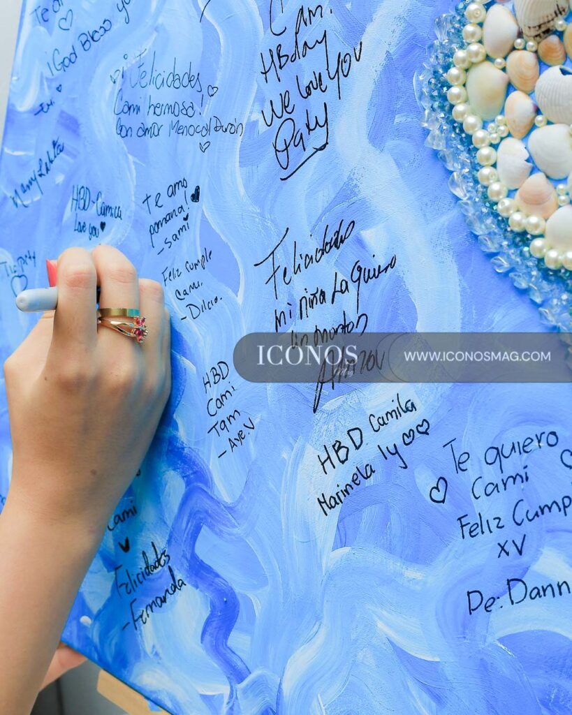 fiesta quince anos de camila abigail reyes