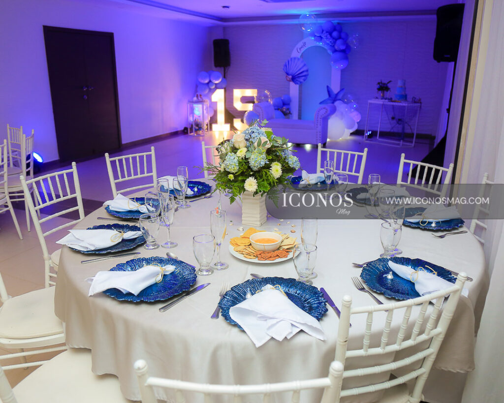 fiesta quince anos de camila abigail reyes