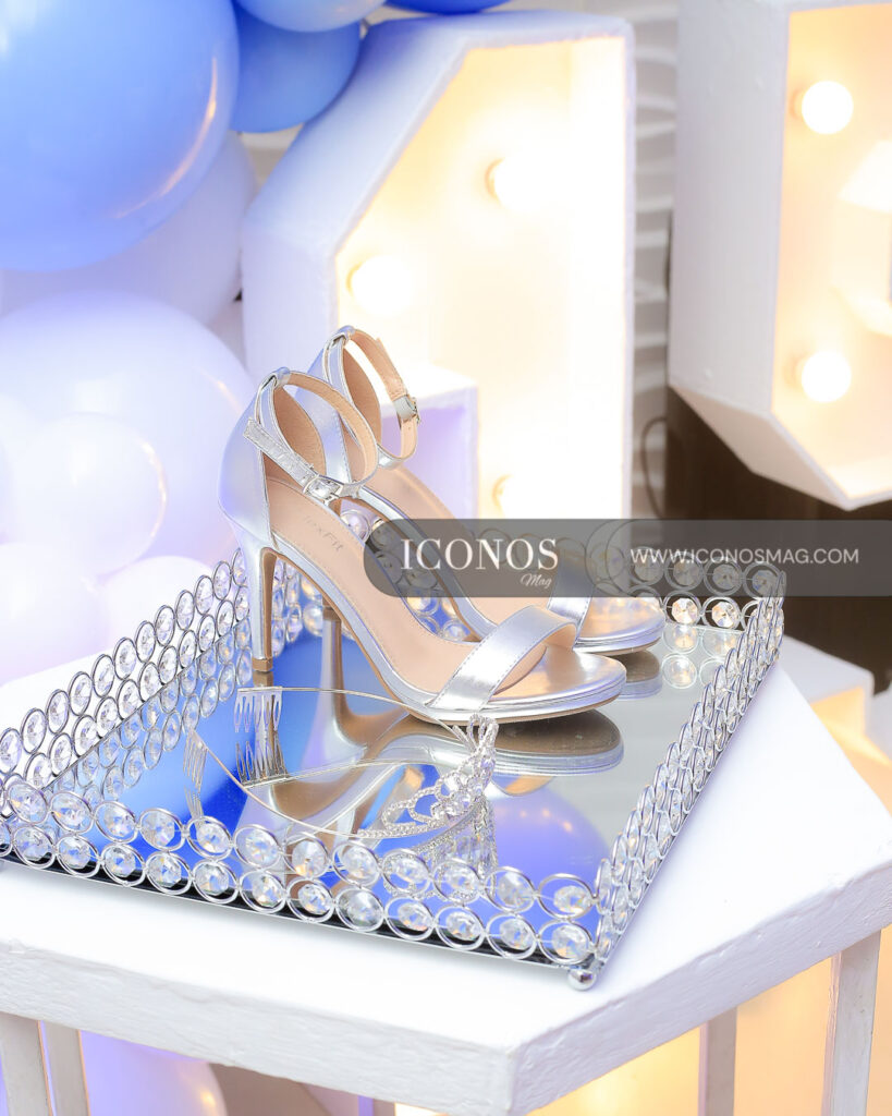 fiesta quince anos de camila abigail reyes