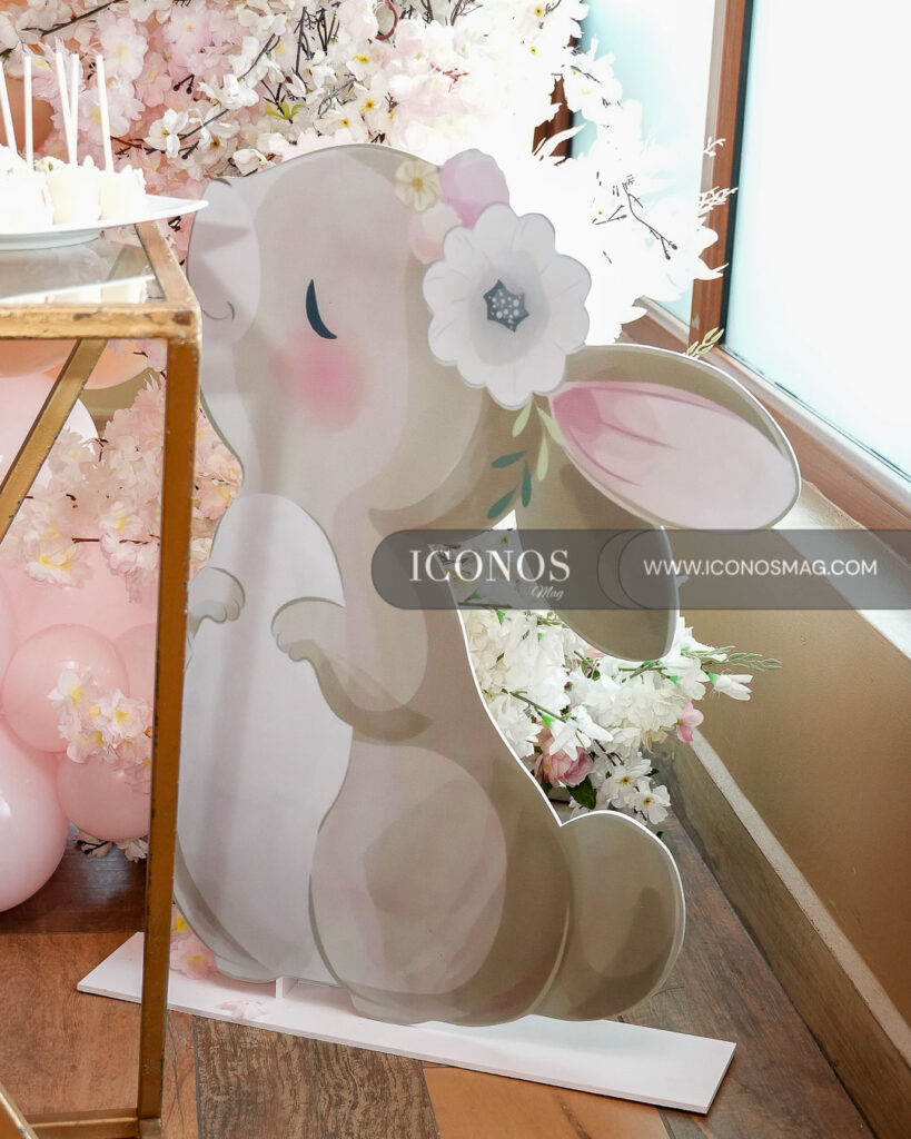 baby shower erika jullissa rojas perez