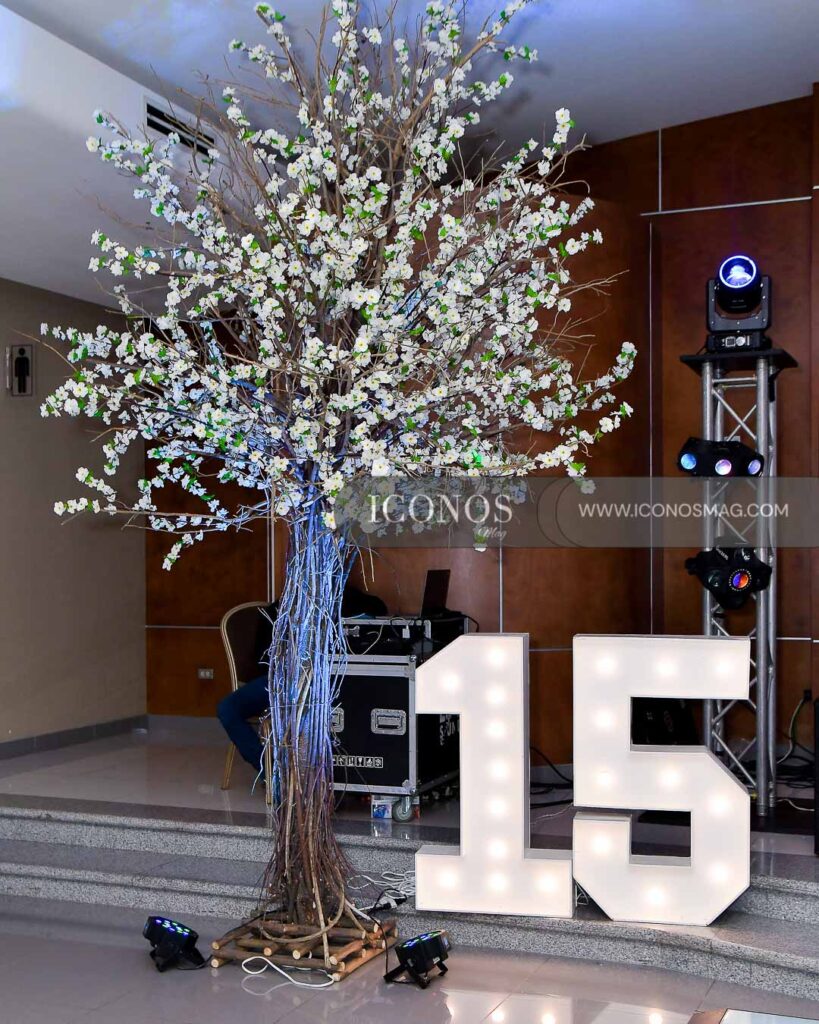 celebracion quince anos isabella marie ghawi lujan