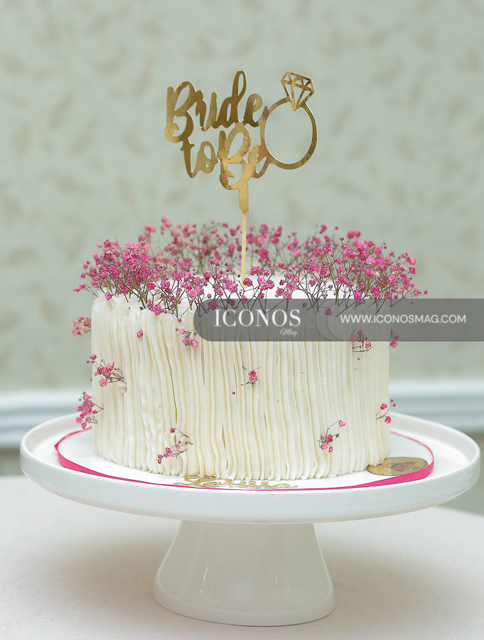 despedida soltera larissa michelle fajardo sabillon