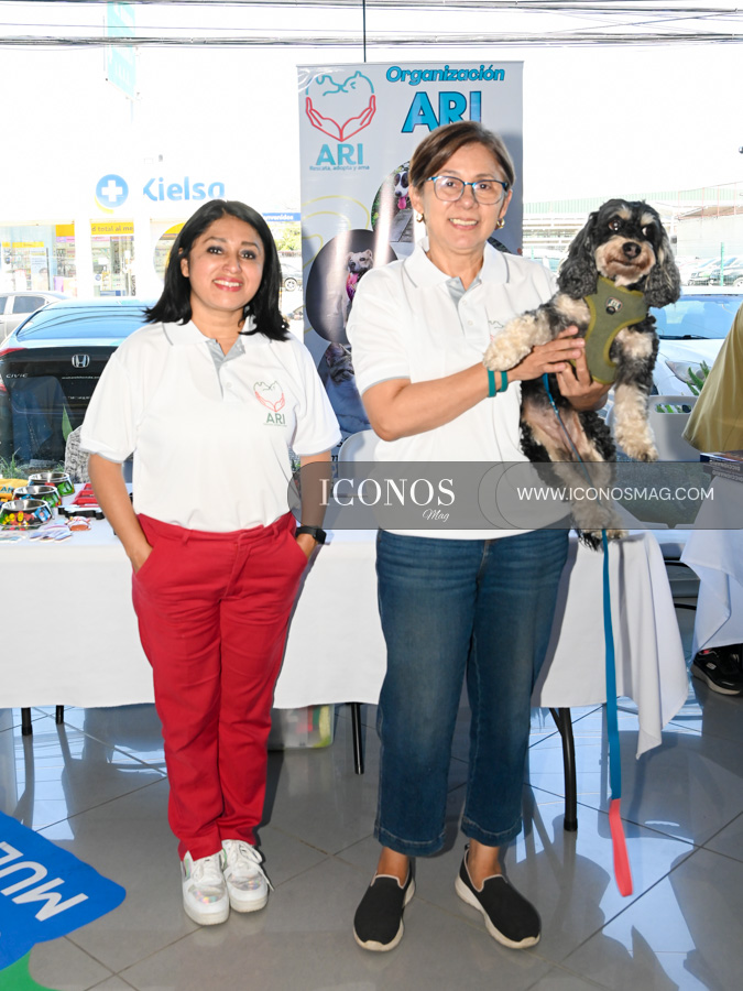 feria de fundaciones grupo flores