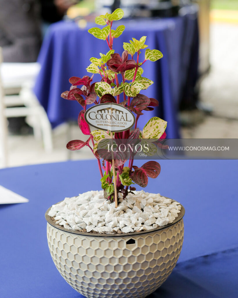 programa recuperacion laguna jucutuma by supermercado colonial honduras