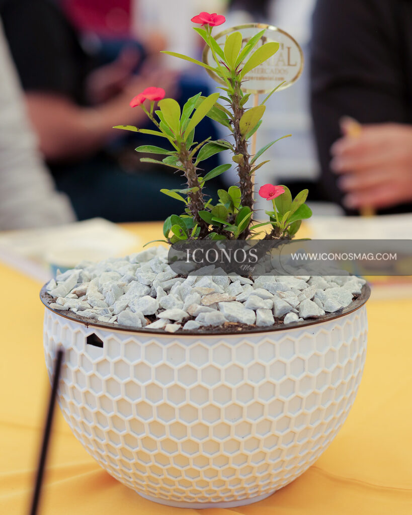 programa recuperacion laguna jucutuma by supermercado colonial honduras