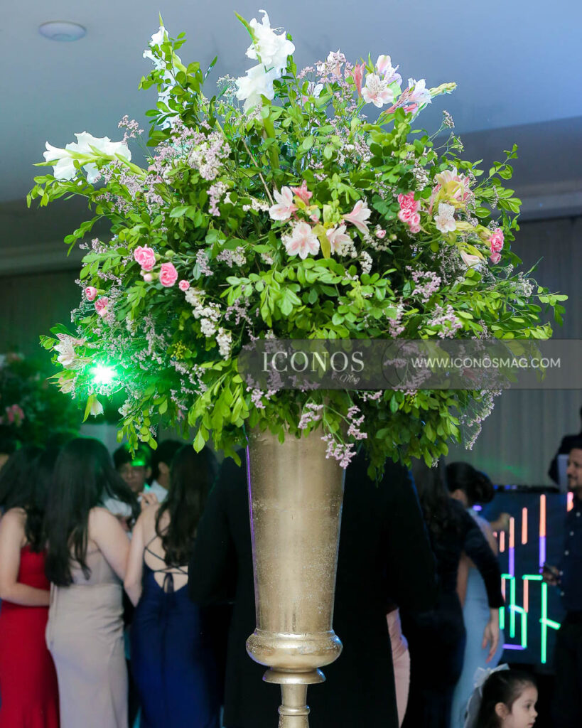 quince aos andrea camila segurado rodriguez