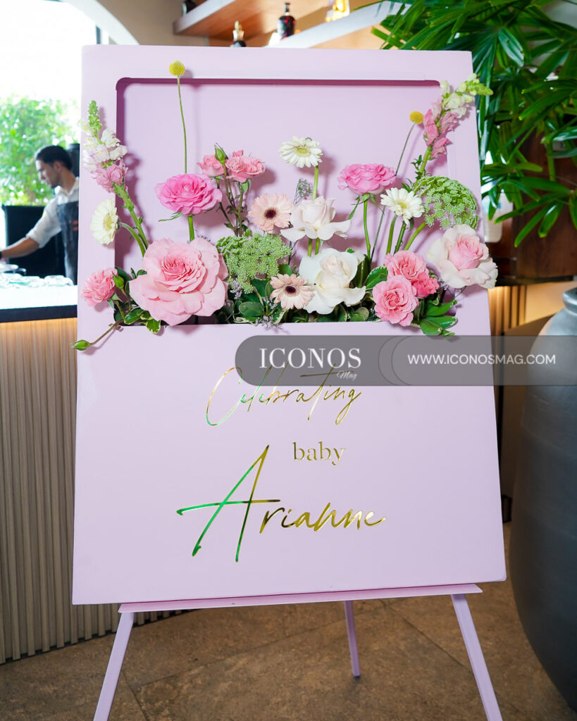 baby shower ana bados de mccarthy