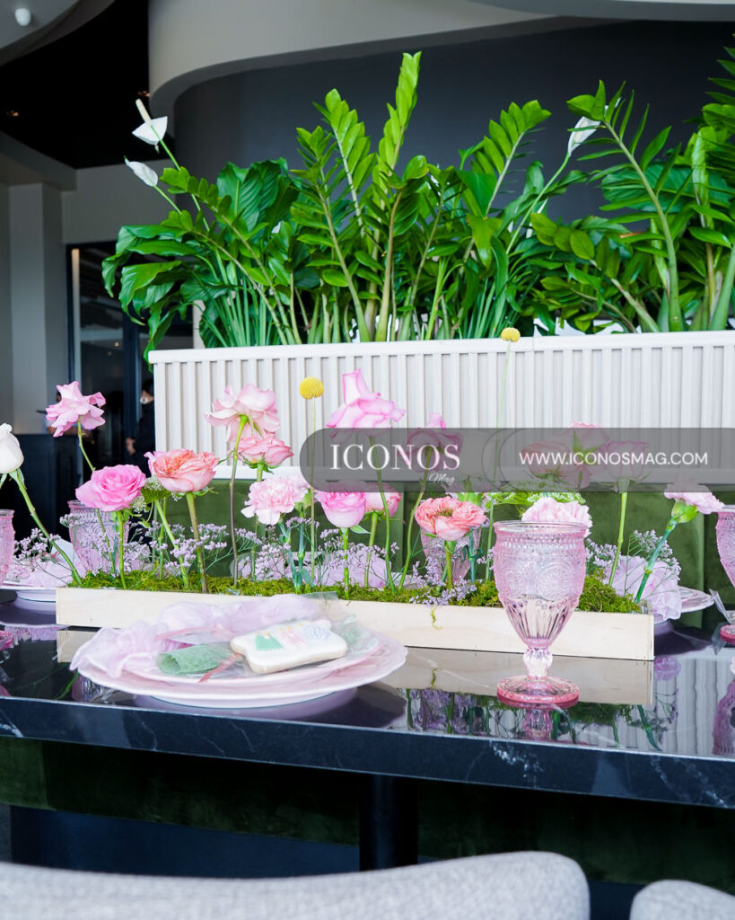 baby shower ana bados de mccarthy