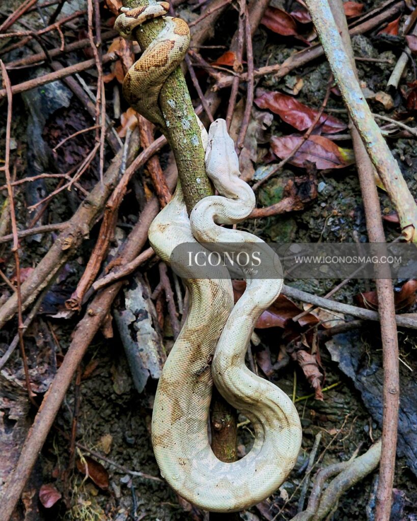 camping cayos cochinos honduras