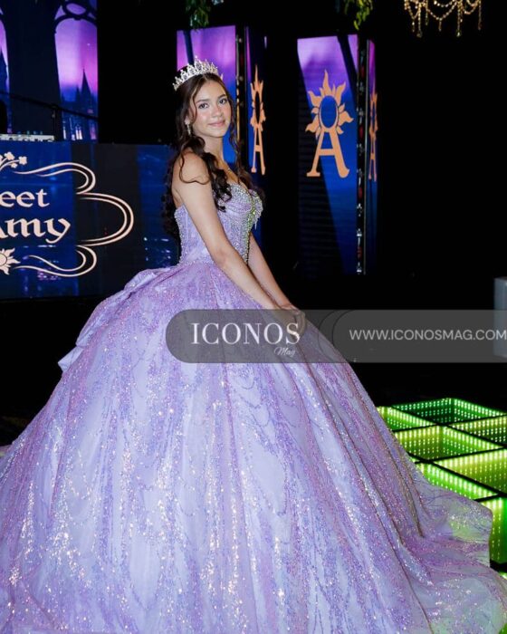 portada quince aos amy