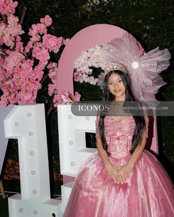 quince aos Brittany Rachel Alvarado Hernndez