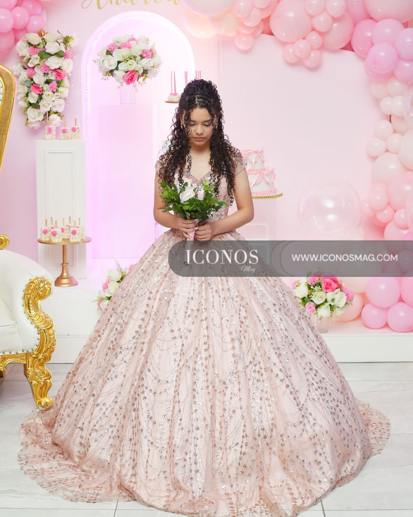 quince anos andrea montserrat villela alvarado