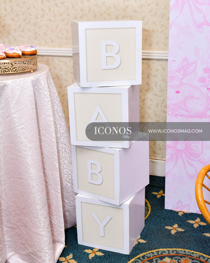 baby shower de claudia arias de castro