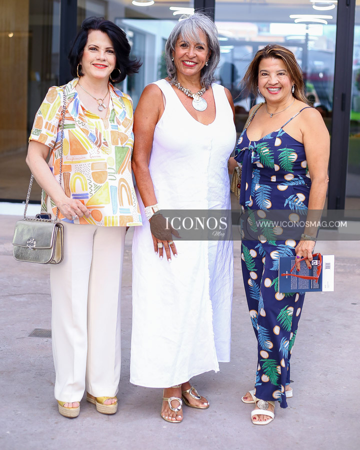 presentacion libro nora schauer