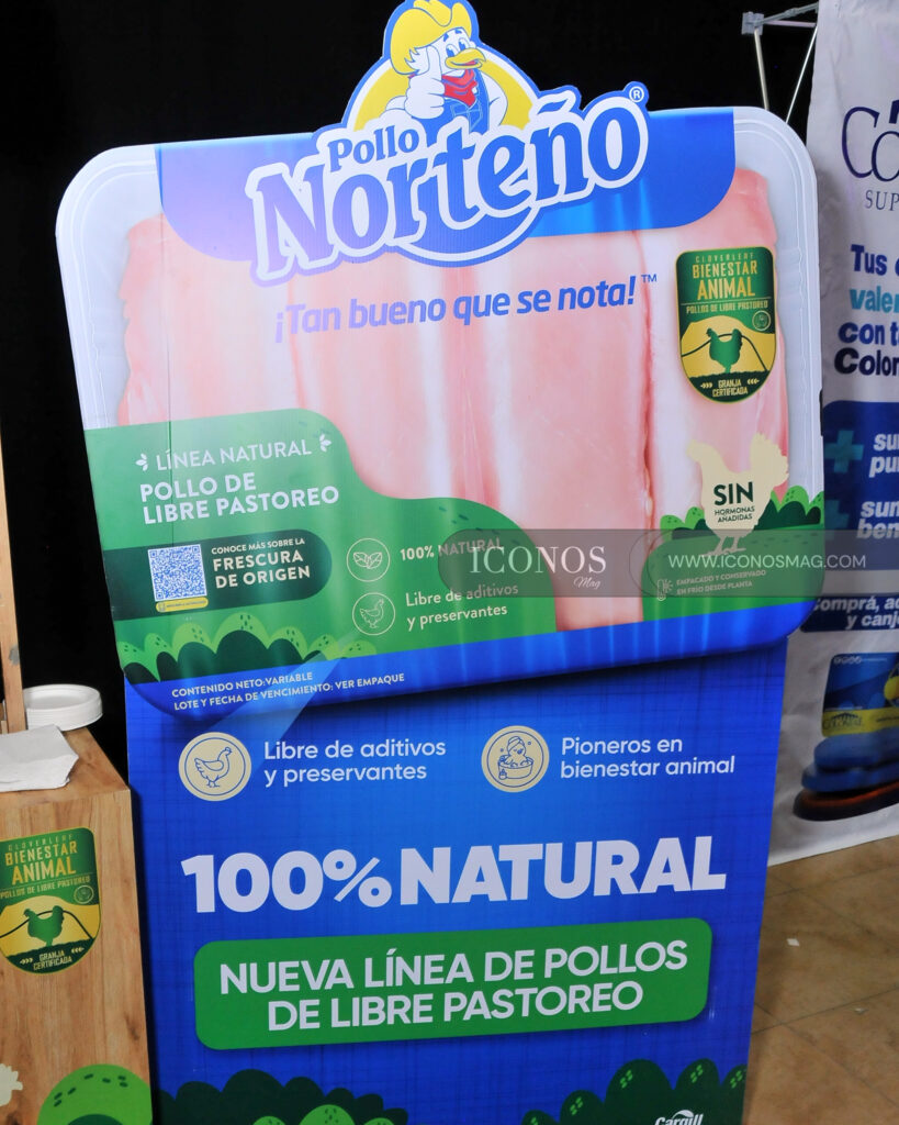 foro mujeres el exito no tiene edad iconos mag honduras pt
