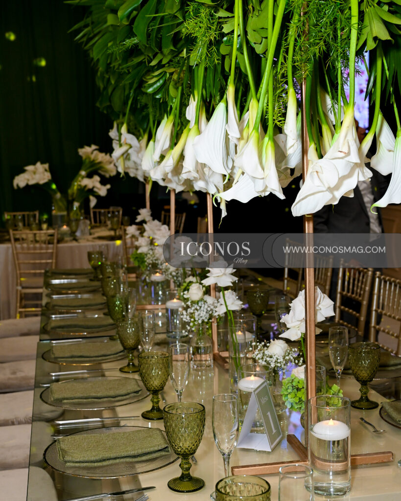 boda carmen alicia hernandez garcia y fernando jose nieto cano