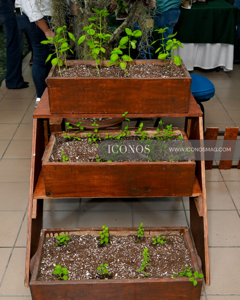 cultivando bienestar segunda edicion aguas sanpedro honduras