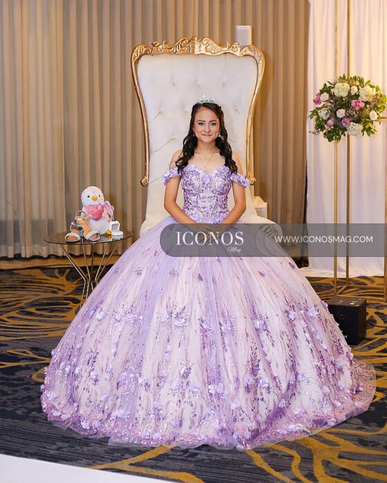 PORTADA quince anos brianna julissa aviles amador