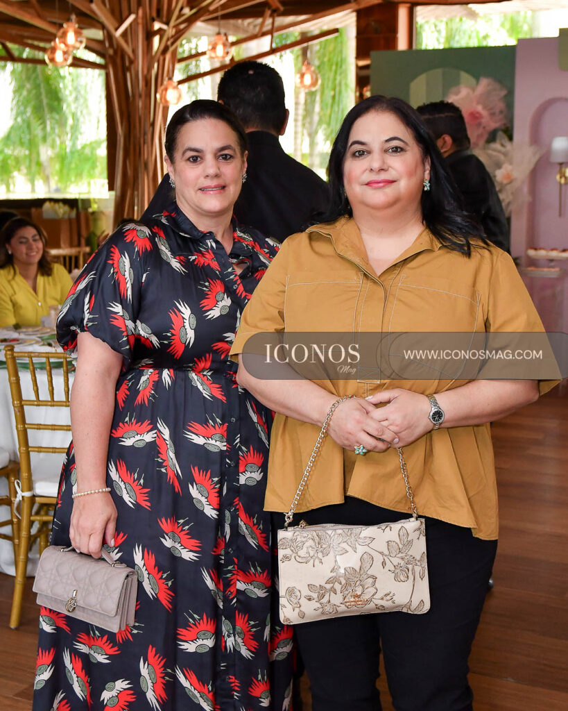 baby shower stephanie nicole dox montes de andonie