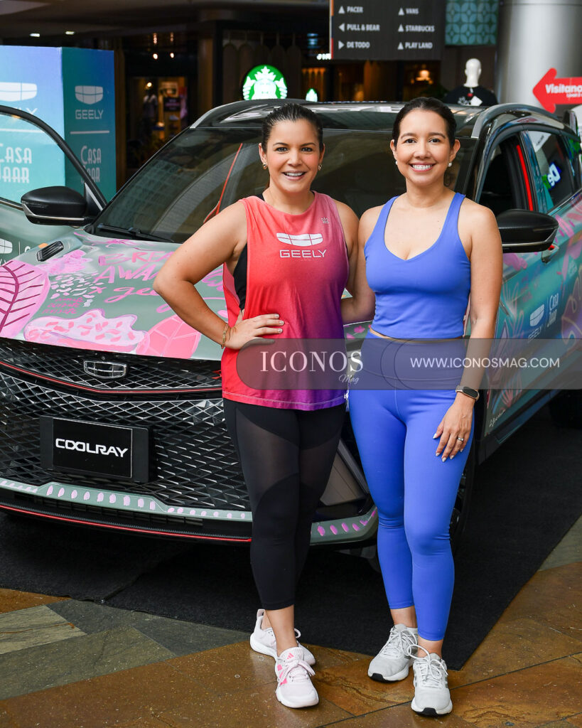 clase de hit geely honduras