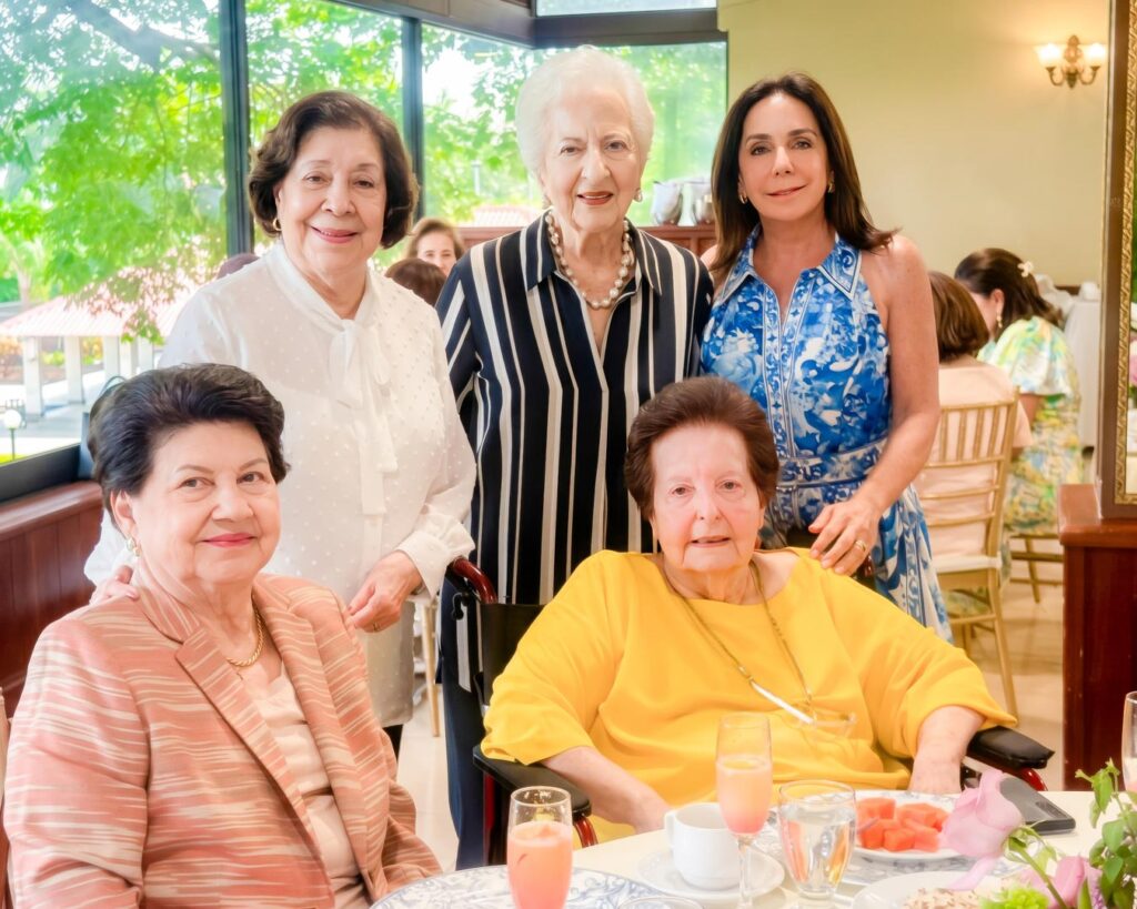 cumpleanos luisa elsa castillo de dumas
