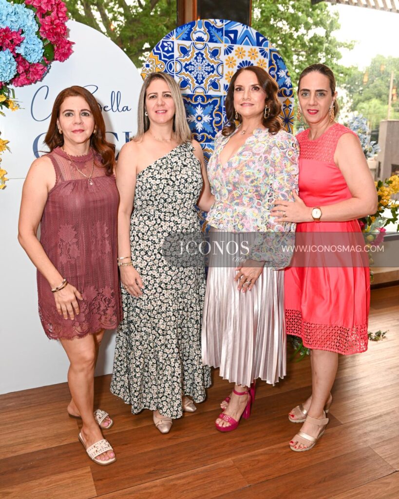 despedida de soltera cecilia maria mendoza milla faraj