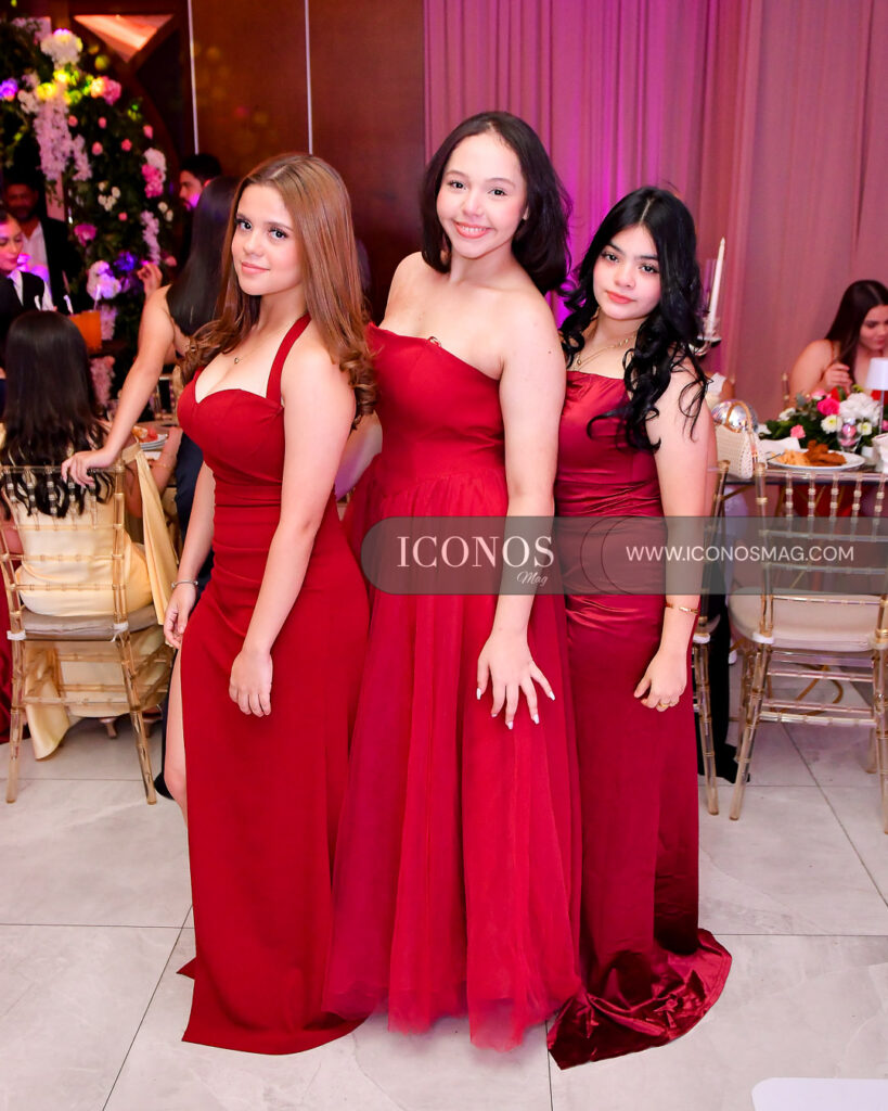 quince anos gianna camila rivera alvarado